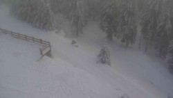 Přístup na běžeckou trať