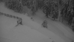 Přístup na běžeckou trať