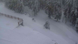 Přístup na běžeckou trať