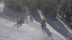 Přístup na běžeckou trať