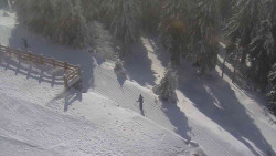 Přístup na běžeckou trať