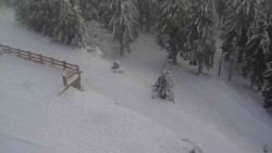 Přístup na běžeckou trať