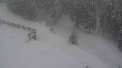 Přístup na běžeckou trať