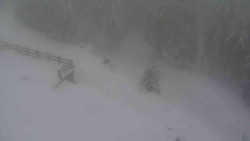 Přístup na běžeckou trať