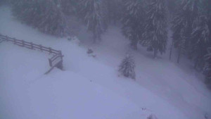 Sporthotel Kurzovní - Přístup na běžeckou trať - 22.2.2026 v 06:35