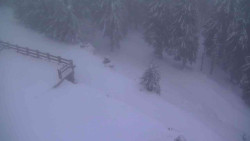 Přístup na běžeckou trať