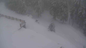 Sporthotel Kurzovní - Přístup na běžeckou trať - 22.2.2026 v 06:50