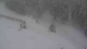 Sporthotel Kurzovní - Přístup na běžeckou trať - 22.2.2026 v 07:10