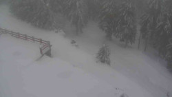 Přístup na běžeckou trať