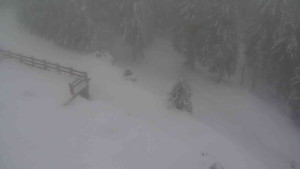 Sporthotel Kurzovní - Přístup na běžeckou trať - 22.2.2026 v 07:55 Sporthotel Kurzovní - Přístup na běžeckou trať - 22.2.2026 v 07:55