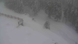 Sporthotel Kurzovní - Přístup na běžeckou trať - 22.2.2026 v 08:55 Sporthotel Kurzovní - Přístup na běžeckou trať - 22.2.2026 v 08:55