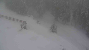 Sporthotel Kurzovní - Přístup na běžeckou trať - 22.2.2026 v 09:15