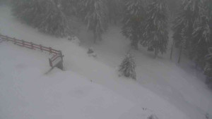 Sporthotel Kurzovní - Přístup na běžeckou trať - 22.2.2026 v 10:35