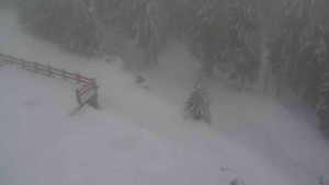 Sporthotel Kurzovní - Přístup na běžeckou trať - 22.2.2026 v 11:35