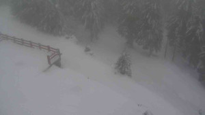 Sporthotel Kurzovní - Přístup na běžeckou trať - 22.2.2026 v 11:45