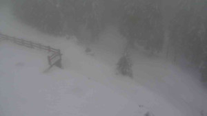 Sporthotel Kurzovní - Přístup na běžeckou trať - 22.2.2026 v 13:55 Sporthotel Kurzovní - Přístup na běžeckou trať - 22.2.2026 v 13:55