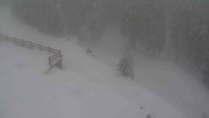 Sporthotel Kurzovní - Přístup na běžeckou trať - 22.2.2026 v 14:15