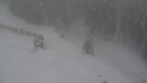 Sporthotel Kurzovní - Přístup na běžeckou trať - 22.2.2026 v 15:10