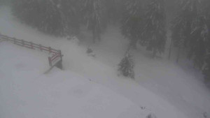 Sporthotel Kurzovní - Přístup na běžeckou trať - 22.2.2026 v 16:30