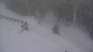 Sporthotel Kurzovní - Přístup na běžeckou trať - 22.2.2026 v 17:20