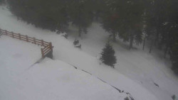 Přístup na běžeckou trať