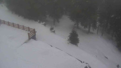 Přístup na běžeckou trať