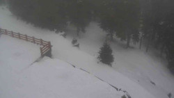 Přístup na běžeckou trať