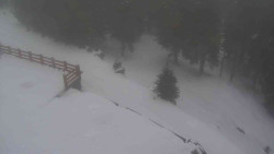 Přístup na běžeckou trať