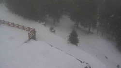 Přístup na běžeckou trať