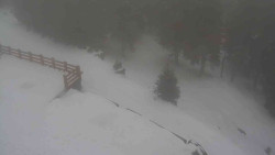 Přístup na běžeckou trať