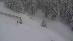 Přístup na běžeckou trať