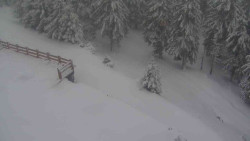 Přístup na běžeckou trať