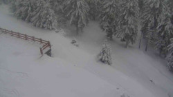 Přístup na běžeckou trať