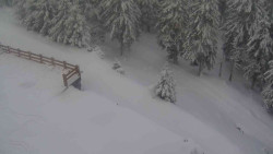 Přístup na běžeckou trať