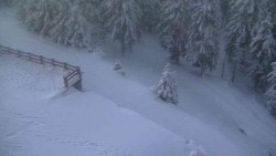 Přístup na běžeckou trať