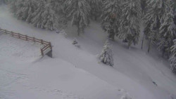 Přístup na běžeckou trať