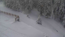 Přístup na běžeckou trať