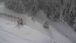 Přístup na běžeckou trať