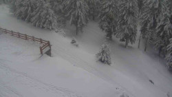 Přístup na běžeckou trať