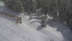 Přístup na běžeckou trať