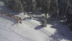 Přístup na běžeckou trať