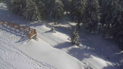 Přístup na běžeckou trať