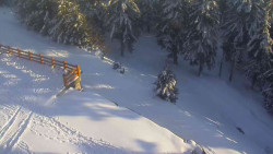 Přístup na běžeckou trať