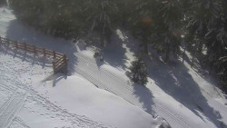 Přístup na běžeckou trať