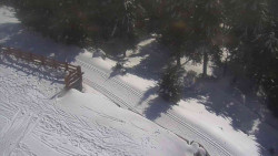 Přístup na běžeckou trať