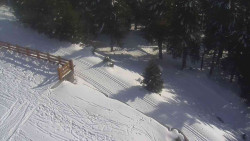 Přístup na běžeckou trať