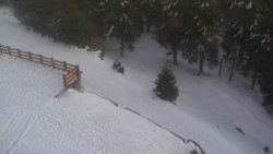 Přístup na běžeckou trať