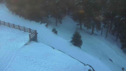 Přístup na běžeckou trať