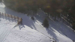 Přístup na běžeckou trať