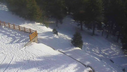 Přístup na běžeckou trať